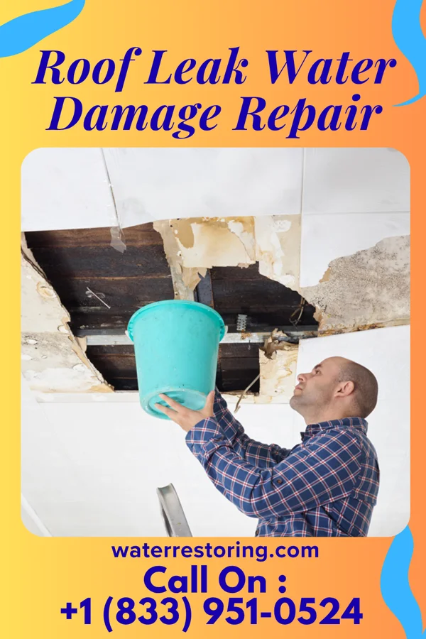Roof Leak Water Damage Repair in Vredenburgh, AL