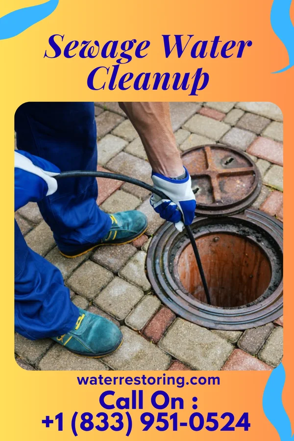 Sewage Water Cleanup in Vredenburgh, AL